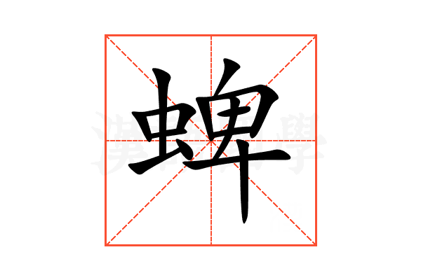 蜱